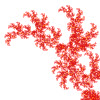 link image
