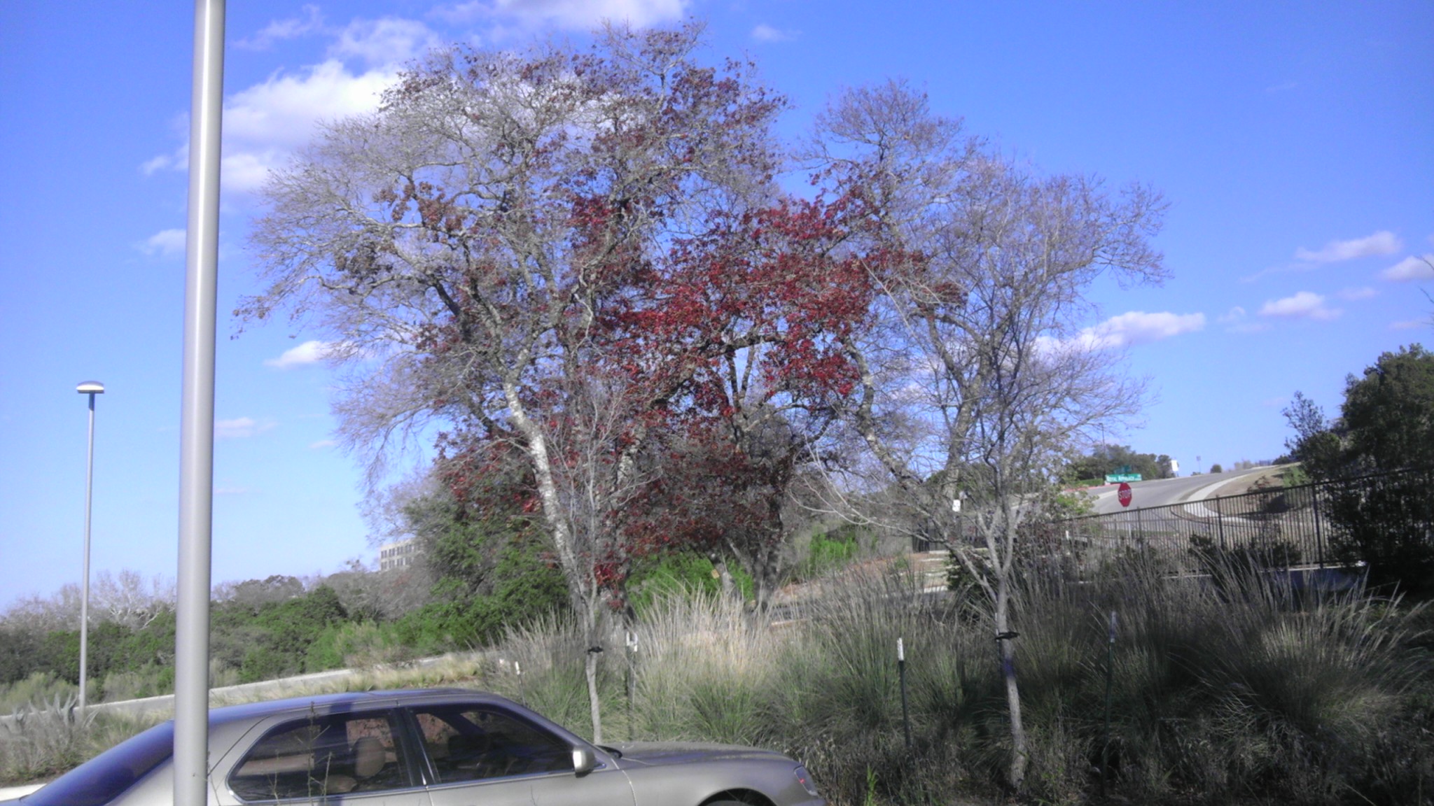 IMAG0263